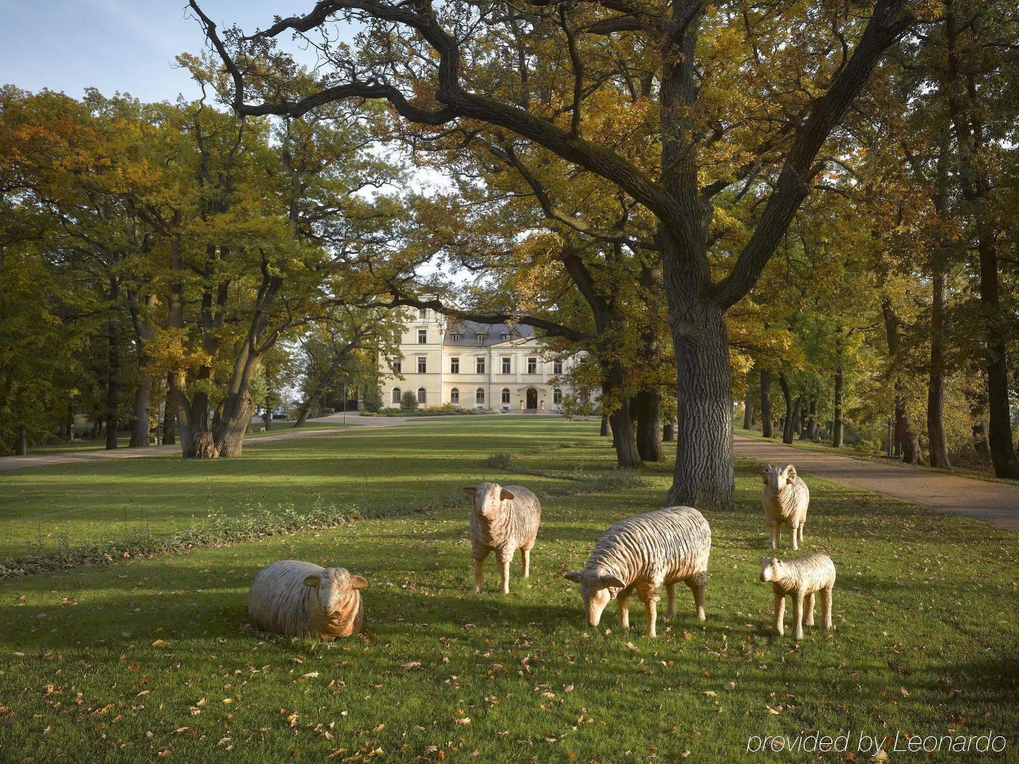 Chateau Mcely Екстериор снимка
